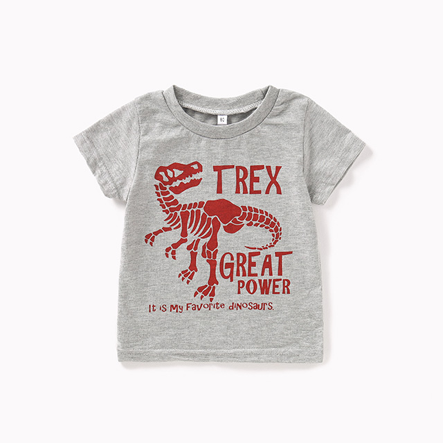 Grey Dinosaur Tee — Children's Clothing development sample